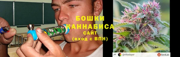 ПСИЛОЦИБИНОВЫЕ ГРИБЫ Новодвинск