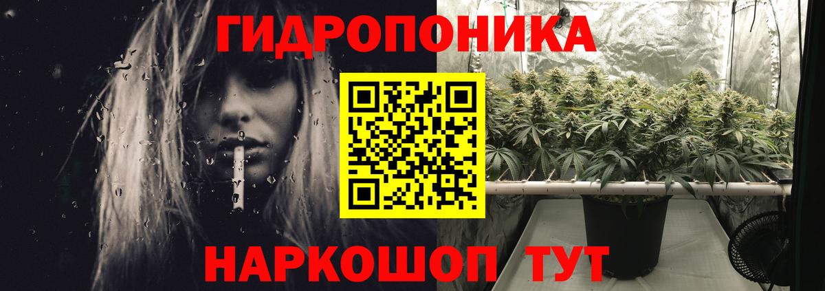 Бошки Шишки Bruce Banner  Конопля план  Вход с VPN  Железногорск  Бошки Шишки индика 